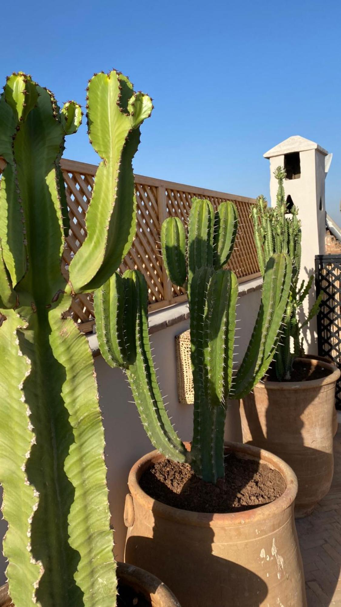 Riad Gasaembre Touareg มาร์ราเกช ภายนอก รูปภาพ